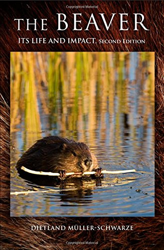 The Beaver Its Life And Impact [Hardcover]