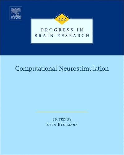 Computational Neurostimulation [Hardcover]