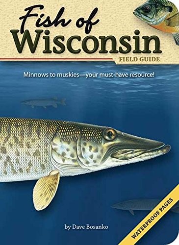 Fish of Wisconsin Field Guide [Paperback]