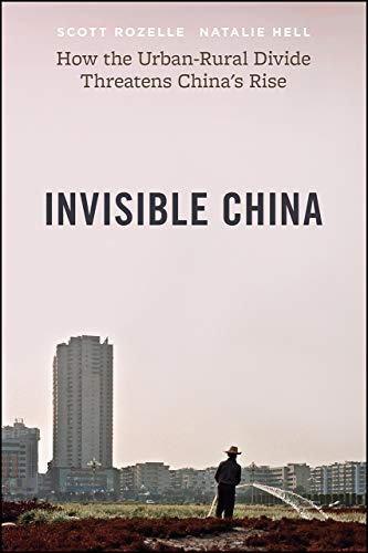 Invisible China How the Urban-Rural Divide Threatens Chinas Rise [Hardcover]