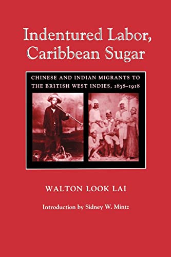 Indentured Labor, Caribbean Sugar Chinese And Indian Migrants To The British We [Paperback]