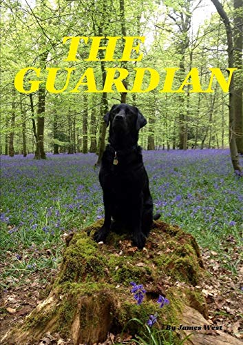 Guardian [Paperback]