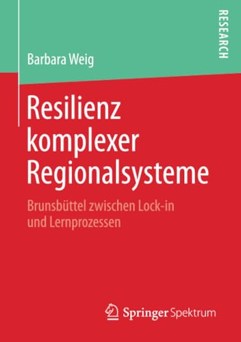 Resilienz komplexer Regionalsysteme Brunsbttel zwischen Lock-in und Lernprozes [Paperback]