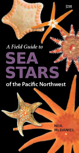 A Field Guide to Sea Stars of the Pacific Northwest [Pamphlet]
