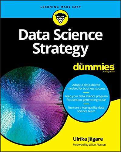 Data Science Strategy For Dummies [Paperback]
