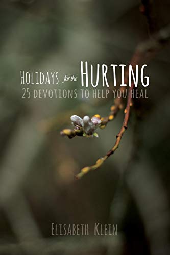 Holidays For The Hurting 25 Devotions To Help You Heal [Paperback]