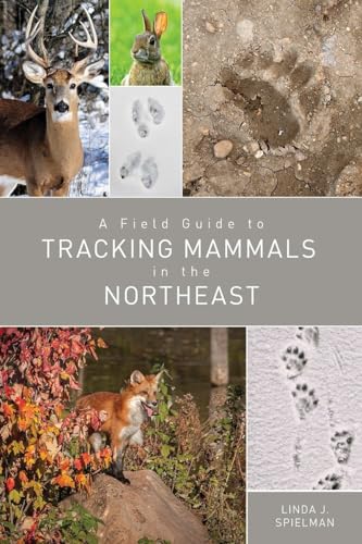 A Field Guide to Tracking Mammals in the Northeast [Paperback]