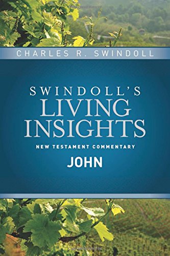 Insights on John [Hardcover]