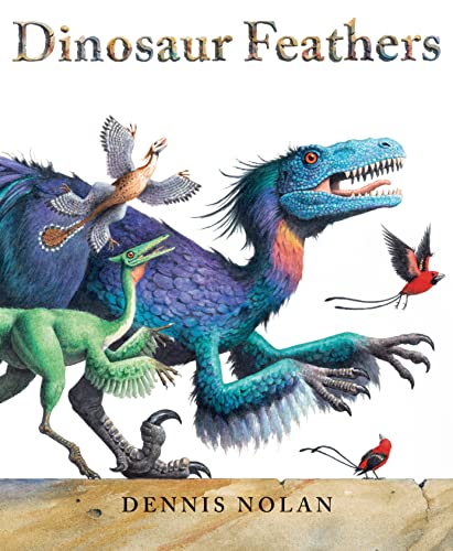 Dinosaur Feathers [Paperback]