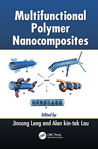 Multifunctional Polymer Nanocomposites [Paperback]