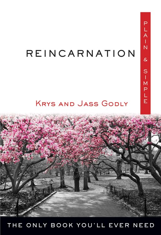 Reincarnation, Plain & Simple The Only Book You'll Ever Need [Paperback]