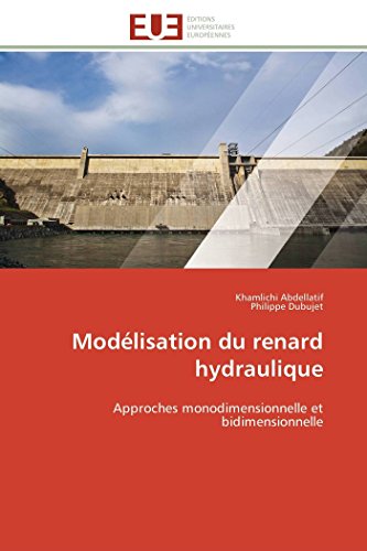 Modlisation Du Renard Hydraulique Approches Monodimensionnelle Et Bidimensionn [Paperback]