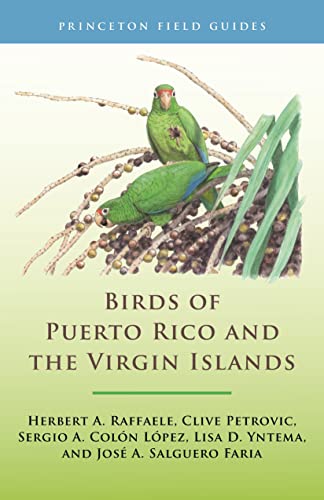 Birds of Puerto Rico and the Virgin Islands Fully Revised and Updated Third Edi [Paperback]