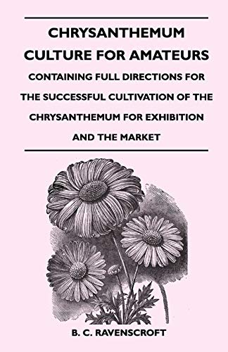 Chrysanthemum Culture for Amateurs  Containing Full Directions for the Successf [Paperback]