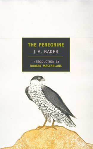 The Peregrine [Paperback]