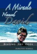 Miracle Named David  Beating the Odds [Hardcover]