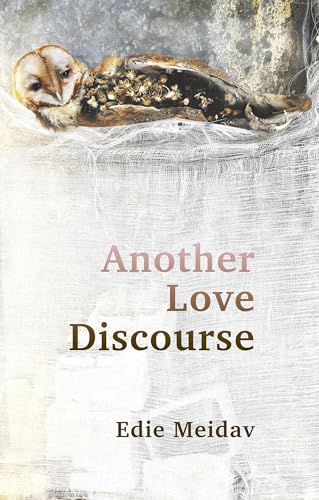 Another Love Discourse [Paperback]