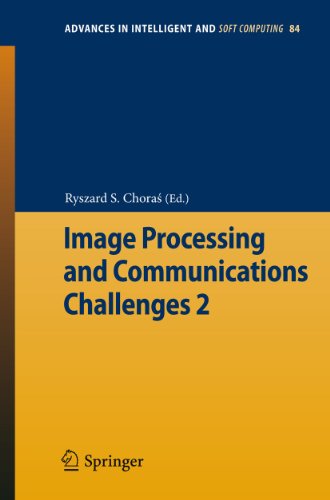 Image Processing &amp Communications Challenges 2 [Paperback]