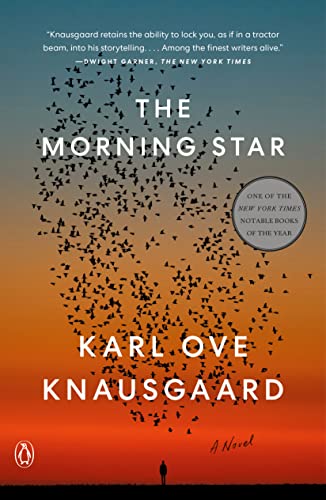 The Morning Star A Novel [Paperback]