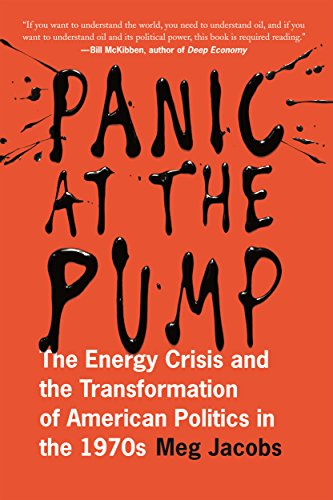 Panic at the Pump The Energy Crisis and the Transformation of American Politics [Paperback]