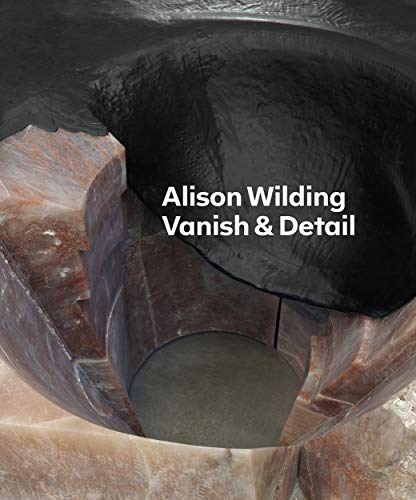 Alison Wilding Vanish &amp Detail [Paperback]