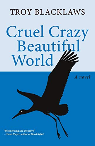 Cruel Crazy Beautiful World A Novel [Paperback]