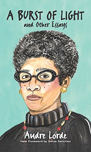 A Burst Of Light And Other Essays [Hardcover]