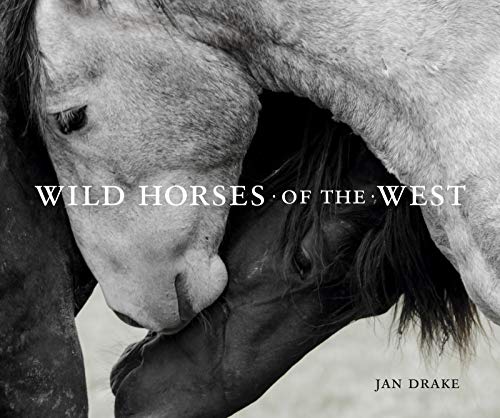 Wild Horses Of The West                  [CLOTH               ]