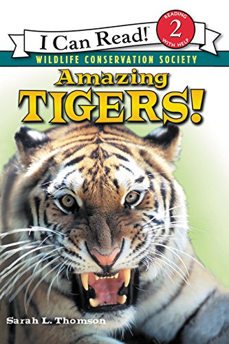 Amazing Tigers! [Paperback]