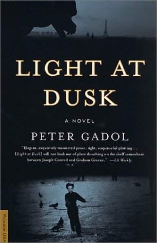 Light at Dusk A Novel [Paperback]