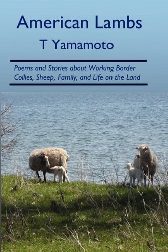 American Lambs Poems And Stories About Working Border Collies, Sheep, Family, [Paperback]