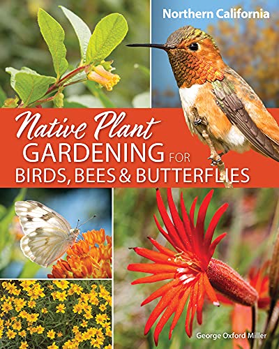 Native Plant Gardening for Birds, Bees & Butterflies Northern California [Paperback]
