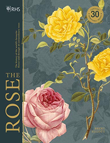 RHS The Rose The history of the world's favourite flower told through 40 extrao [Hardcover]