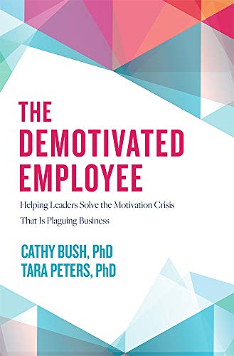 The Demotivated Employee Helping Leaders Solve the Motivation Crisis That Is Pl [Hardcover]