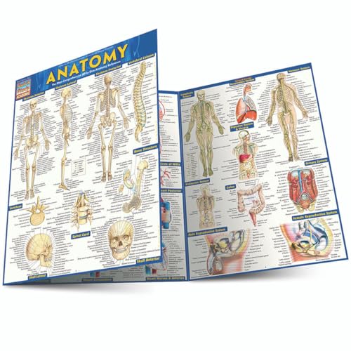 Anatomy - Reference Guide (8.5 x 11) a QuickStudy reference tool [Fold-out book or cha]