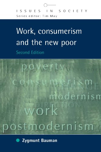 Work, Consumerism and the New Poor [Paperback]