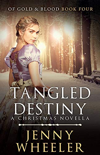Tangled Destiny  A Christmas Novella [Paperback]