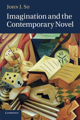 Imagination and the Contemporary Novel [Paperback]