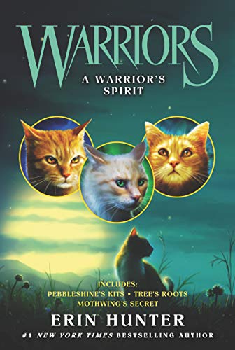 Warriors A Warriors Spirit [Paperback]