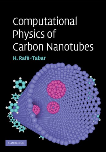 Computational Physics of Carbon Nanotubes [Paperback]