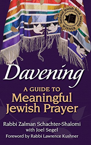 Davening A Guide to Meaningful Jewish Prayer [Hardcover]