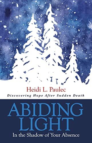Abiding Light In the Shadow of Your Absence [Paperback]