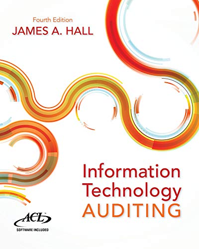 Information Technology Auditing [Paperback]