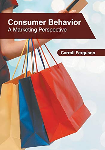 Consumer Behavior A Marketing Perspective [Hardcover]