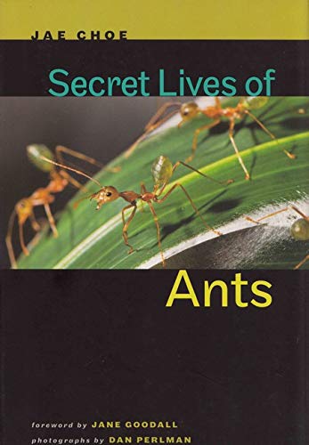 Secret Lives Of Ants [Hardcover]