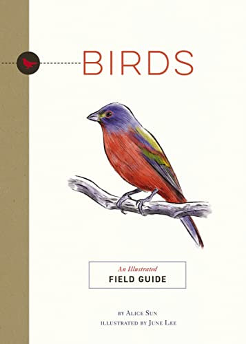 Birds An Illustrated Field Guide [Paperback]