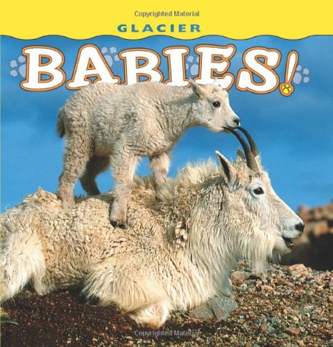 Glacier Babies (baby Board Book) [Board book]