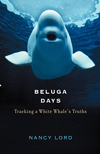 Beluga Days Tracking a White Whale's Truths [Hardcover]