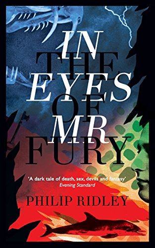 In The Eyes Of Mr Fury [Paperback]