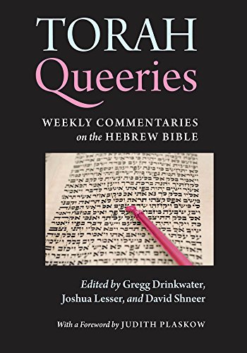 Torah Queeries Weekly Commentaries on the Hebrew Bible [Paperback]